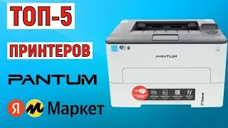 ТОП-5 лучших принтеров Pantum с Яндекс Маркета. Рейтинг