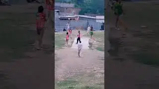 Cricket Shorts 