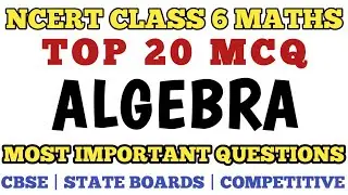 Best MCQ Class 6 Algebra || Maths Chapter 11 Algebra Questions // Class 6 Maths MCQ 