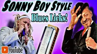 Sonny Boy Style Crash Course Harmonica Lesson