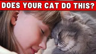 Does Your Cat Do This When You're Sad? They Are Secretly Comforting You!