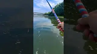 Челлендж устроили или лайфхак?) #рыбалка #fishing #улов #уклейка