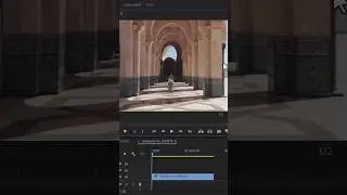 How To Remove Logo or Watermark From Video In Adobe Premiere Pro