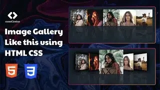 Image Gallery Using HTML CSS | CSS not hover | CSS Tutorial