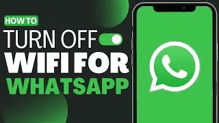 How to Turn Off Wifi for WhatsApp - Full Guide 2023