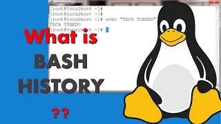 Linux in 3 mins - What is BASH HISTORY ?