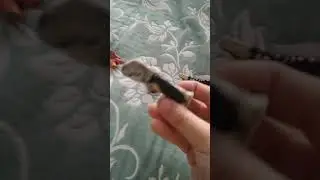 Мои фигурки SCP