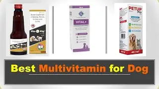 Best Multivitamin for Dog in India 2023 | कुत्तों के लिए मल्टीविटामिन सिरप