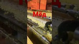 Продолжаем откачивать мёд👍