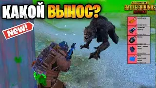 🐀 ЕСТЬ ЛИ КРЫСЫ В РАДКЕ НА 5 КАРТЕ В МЕТРО РОЯЛЬ | METRO ROYALE