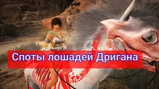 Споты лошадей Дригана (BlackDesert,БДО) Новинка!