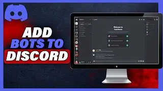 How To Add Bots To Discord (2024)