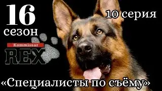 Комиссар Рекс, 16 сезон, 10 серия «Специалисты по съёму»