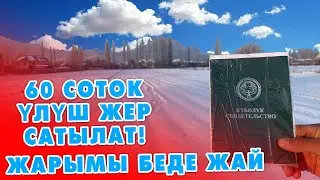 60 соток ҮЛҮШ ЖЕР сатылат! ~ жарымы БЕДЕ себилген Узун туурасы 430х14 ~ Документи бар.