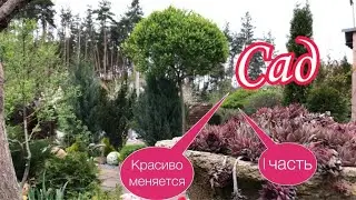 1часть Май.Изменения в Саду Меняются Цветники.Красивые цветы.Красивые кустарники.Приемы при посадке.
