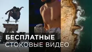 Бесплатные стоковые видео