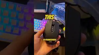 My FIRST Mouse… 