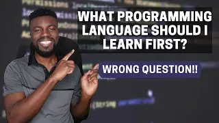 What programming language should I learn first? (WRONG QUESTION)