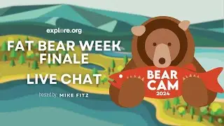 Fat Bear Week Finale | Brooks Live Chat