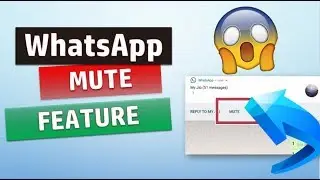 Whatsapp Mute Button Launch: No more bakwaas :)