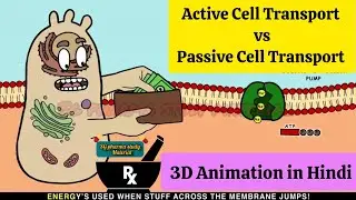 Passive Transport vs Active Transport l Cell Transport ll 3D Animation In Hindi