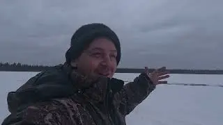 Чудесное болото, все гуси слетаются к нам! Охота на гуся