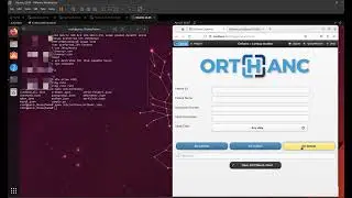 Routing DICOM Viewer Images to an External DICOM Server Orthanc PACS