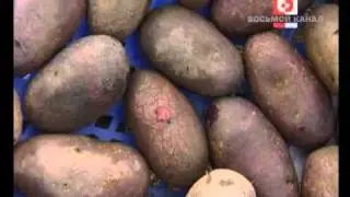 8tv Восьмой канал