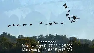 Seasons in Maryland: Temperature and Climate by Month