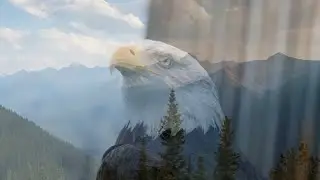 Tangerine Dream - White Eagle (1982) - Video Tribute