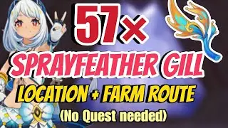 All 57 Sprayfeather Gill Locations and farm route | No Quest Needed | Genshin Impact |