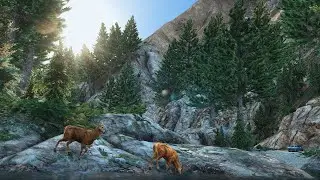 НОЧНАЯ ОХОТА НА ЖИВОТНЫХ В ГТА 5 РП! БЕЗ КОММЕНТАРИЕВ! СЕРВЕР ROXLAND GTA 5 RP