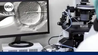 Alabama court rules embryos are children, potentially impacting possibility of IVF