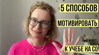 5 способов мотивировать к учебе на СО