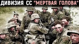 Memoirs of a Waffen SS Officer. Part 1. Military history. Memoirs of soldiers.