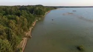Flight Over The Lake Near Forest 36 - cutestockfootage.com