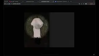 Cagro Collective Light Spot effect (using CSS, HTML, JS)