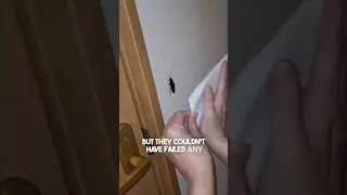 These girls completely failed at catching a roach 😂