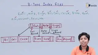 B Tree  Index Files - Indexing and Hashing - Database Management System