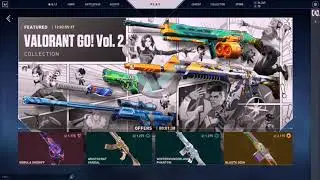 New Valorant Go! Vol.2 Bundle | Valorant New Bundle | New butterfly knife😰 