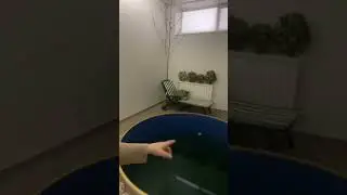 И банька
