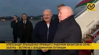 Лукашенко прилетел в Сочи на встречу с Путиным: что будут обсуждать президенты?