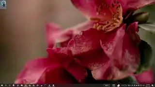 How to add accent color and dark theme to Windows Search on Windows 10