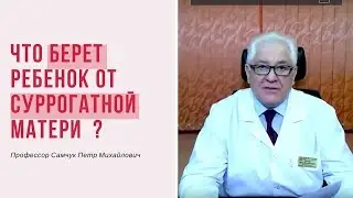 Что берет ребенок от суррогатной матери?