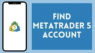 How to Find MetaTrader 5 Account (2024) | Search MetaTrader 5 Account