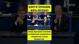 Не Путин виноват в том, что в Германии умирает бизнес - в этом виноваты Хабек и Шольц!