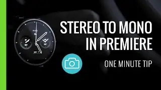Convert Stereo to Mono in Premiere Pro - One Minute Tip