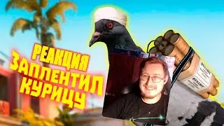 Fierce jokes in games | WDF 270 | STRANGE BIRDS | Russian Reaction