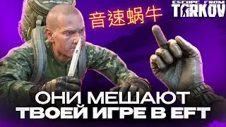 Это главные вонючки в Escape From Tarkov