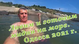 Ловим и готовим мидии на море.Одесса 2021 г.